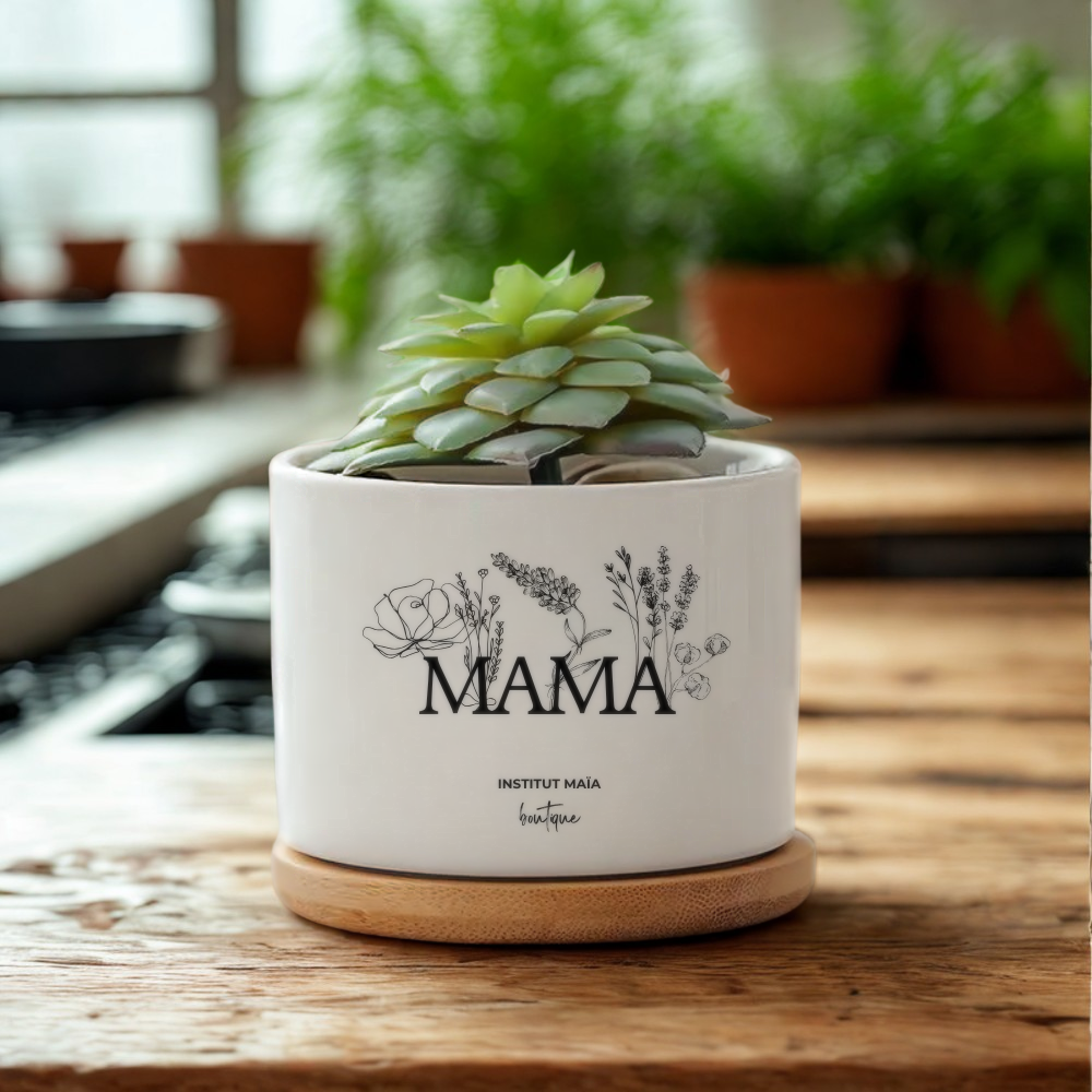 POT DE REMPOTAGE POUR PLANTE MAÏA - Institut MAIA