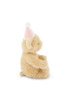 ANNIVERSAIRE EN PELUCHE ARTHUR - ROSE - Institut MAIA