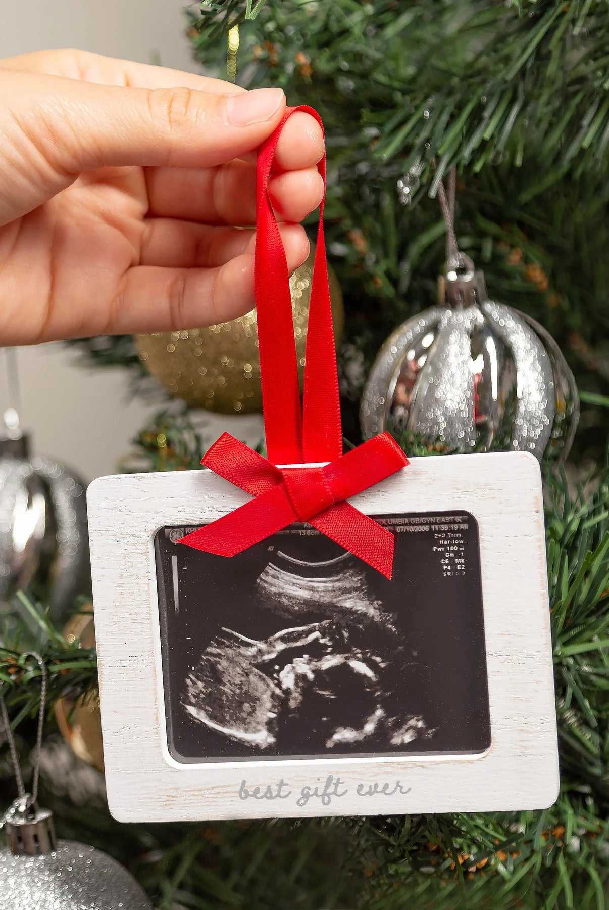 ORNEMENT ÉCHOGRAPHIE - Institut MAIA