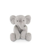 OLIVE L'ÉLÉPHANT - Institut MAIA