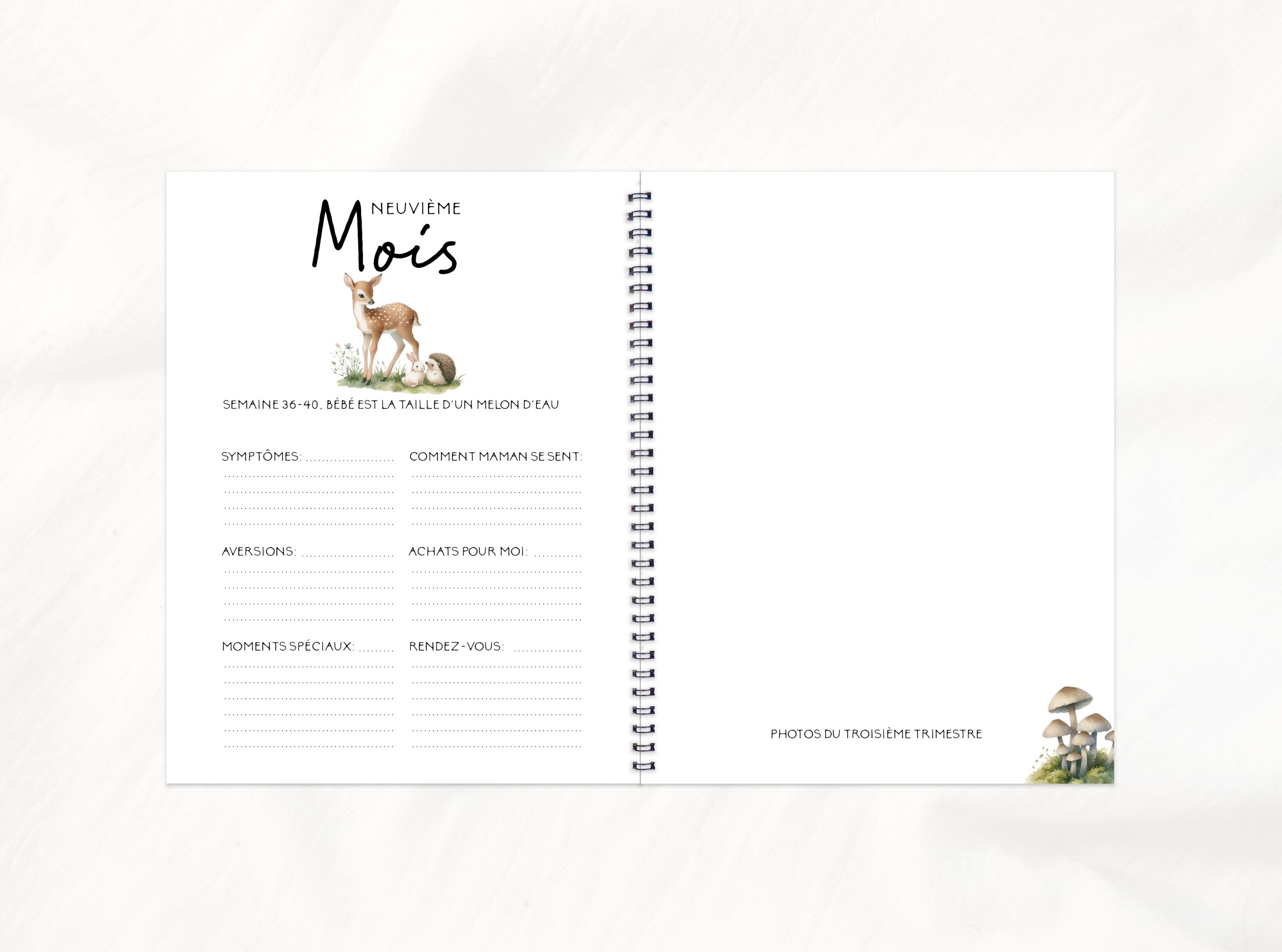 COMBO GROSSESSE - FORÊT VINTAGE - Institut MAIA