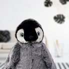 PINGOUIN - Institut MAIA
