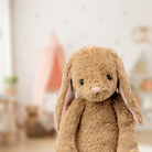 LAPIN BRUN - Institut MAIA