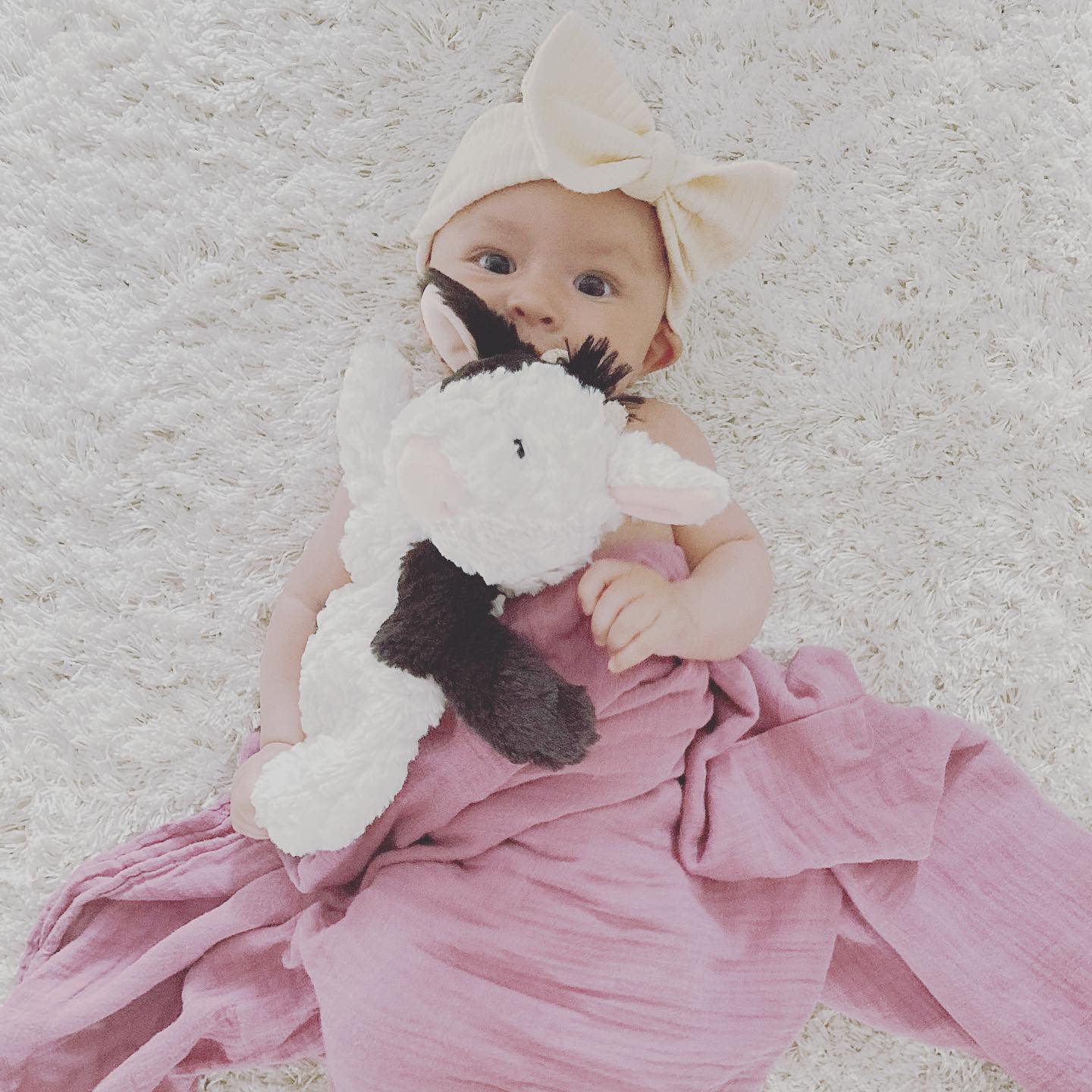 BANDEAU MAÏA - Institut MAIA