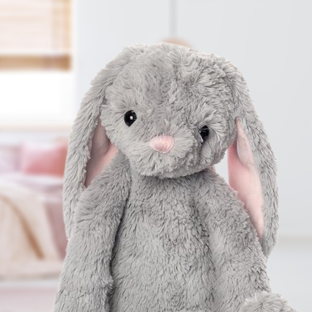 LAPIN GRIS - Institut MAIA
