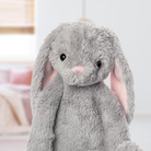 LAPIN GRIS - Institut MAIA