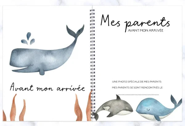 COMBO GROSSESSE & BÉBÉ - BALEINES EN FOLIE - Institut MAIA