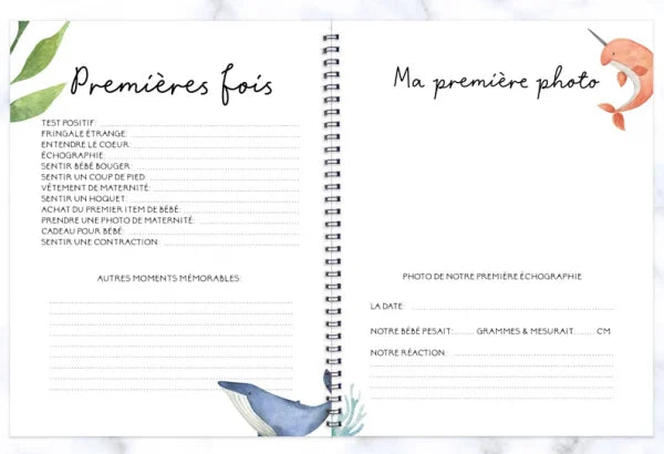 COMBO GROSSESSE & BÉBÉ - BALEINES EN FOLIE - Institut MAIA
