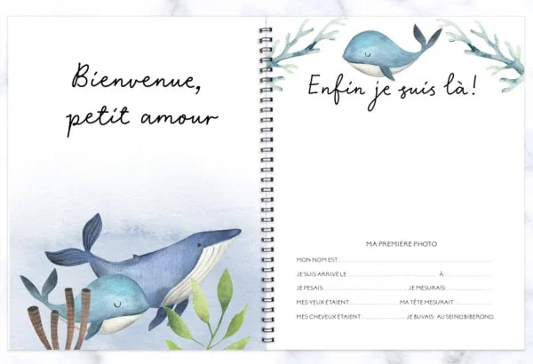 COMBO GROSSESSE & BÉBÉ - BALEINES EN FOLIE - Institut MAIA