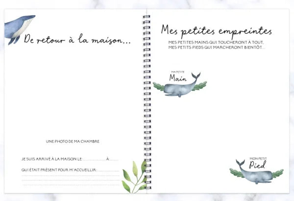 COMBO GROSSESSE & BÉBÉ - BALEINES EN FOLIE - Institut MAIA