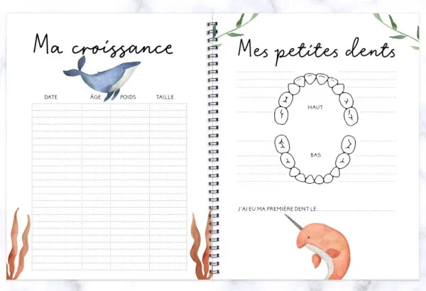 COMBO GROSSESSE & BÉBÉ - BALEINES EN FOLIE - Institut MAIA
