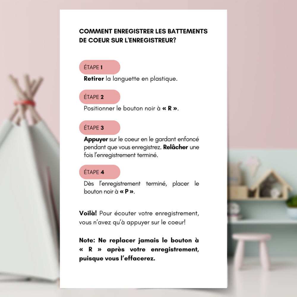 LAPIN BRUN - Institut MAIA