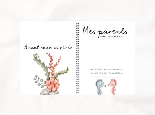 COMBO GROSSESSE - LES PETITS COPAINS DE LA MER - Institut MAIA