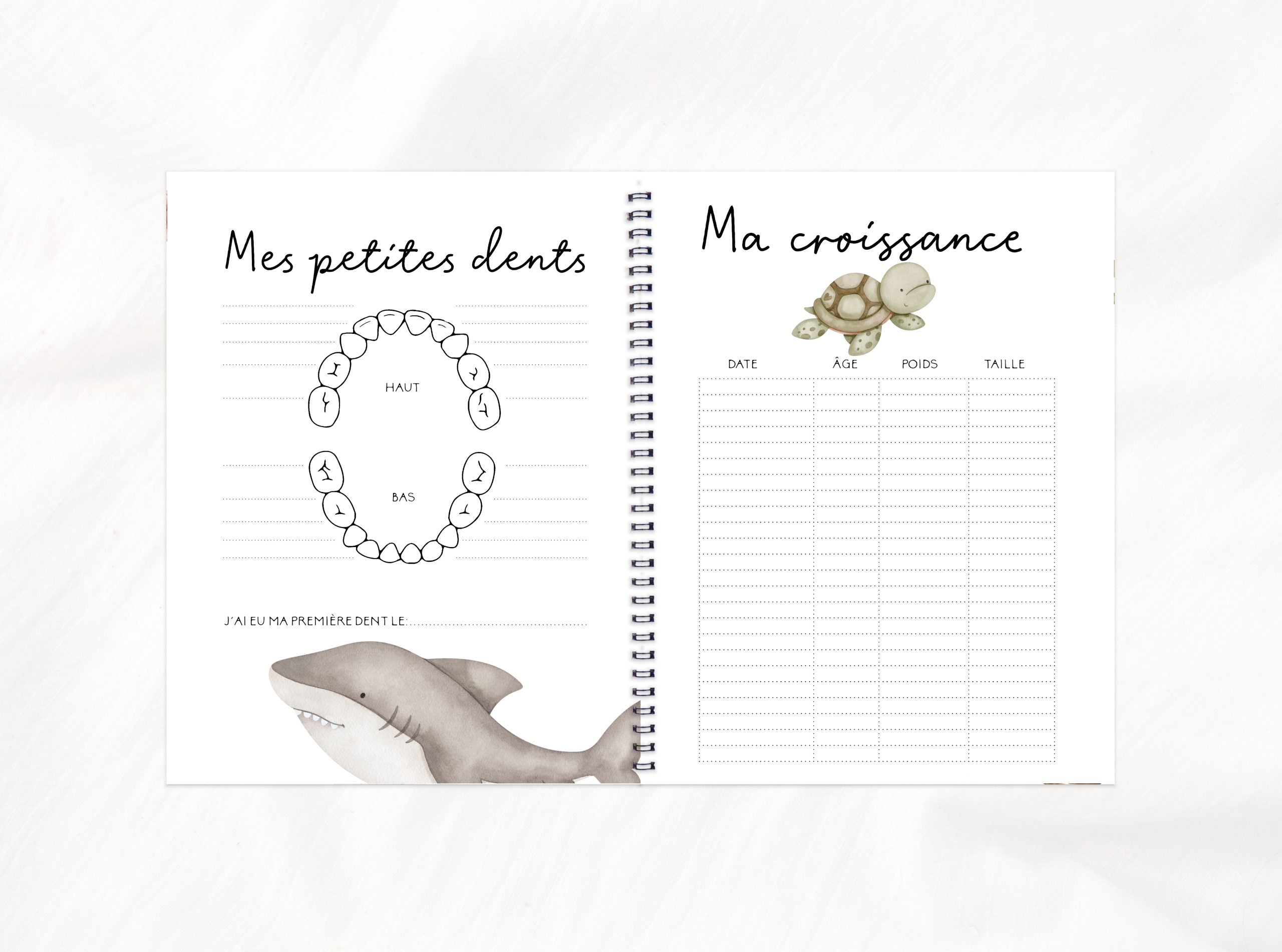 COMBO GROSSESSE - LES PETITS COPAINS DE LA MER - Institut MAIA