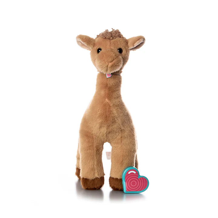 BÉBÉ CHAMEAU - Institut MAIA