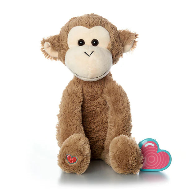 MINI SINGE - Institut MAIA