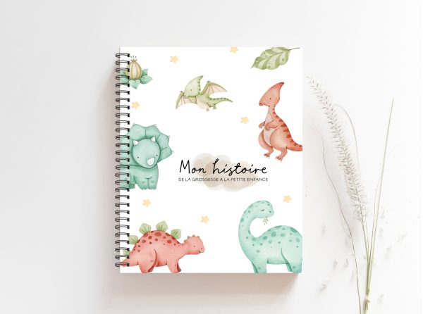 COMBO GROSSESSE - PETITS DINOS - Institut MAIA