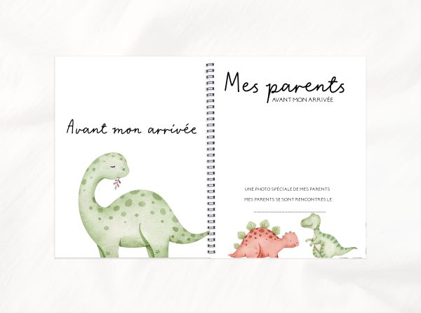 COMBO GROSSESSE - PETITS DINOS - Institut MAIA