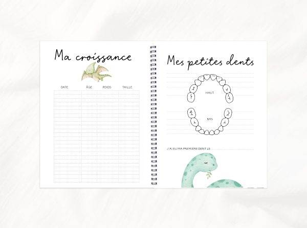 COMBO GROSSESSE - PETITS DINOS - Institut MAIA