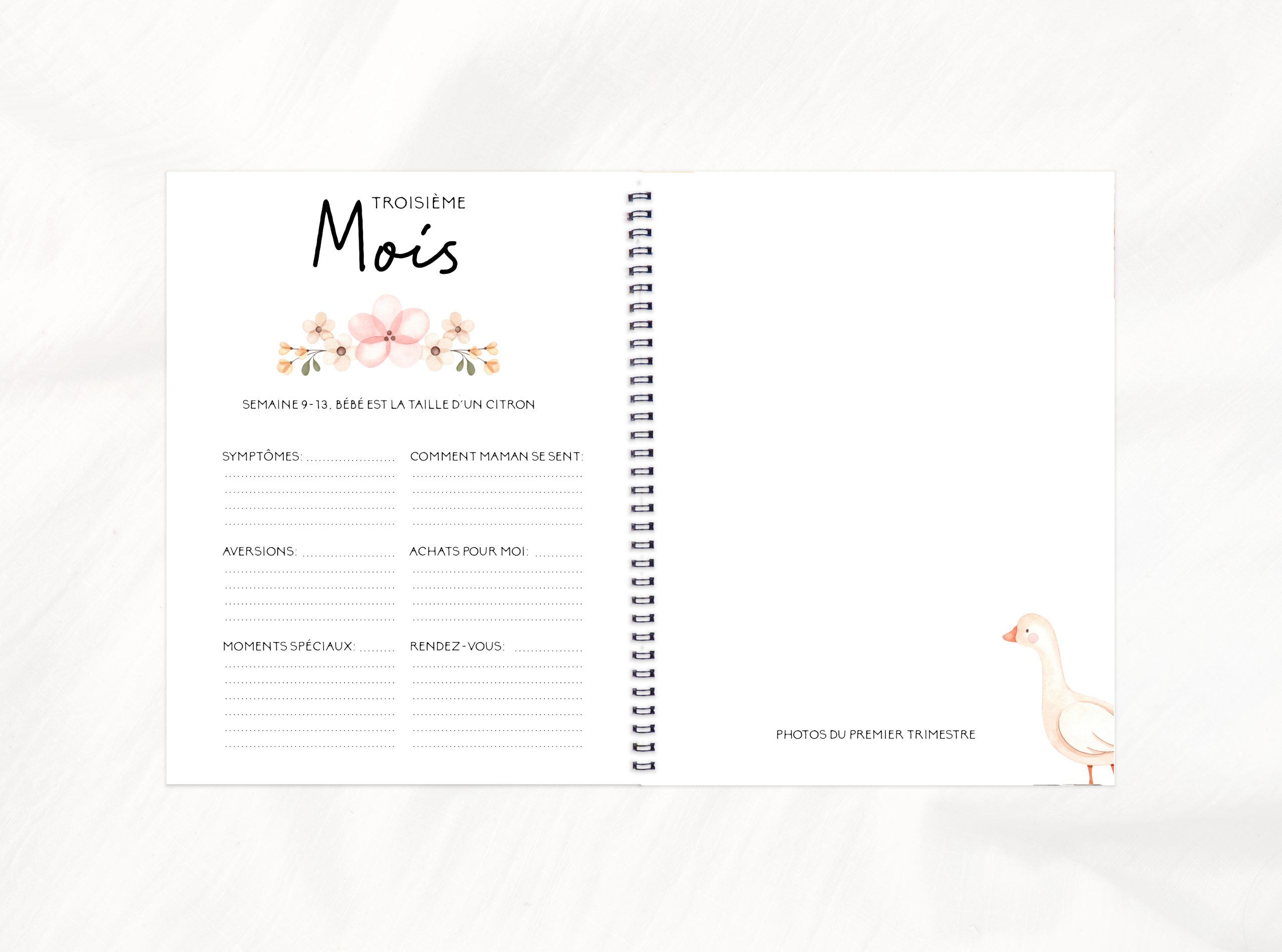 COMBO GROSSESSE - DOUX PETITS ANIMAUX - Institut MAIA