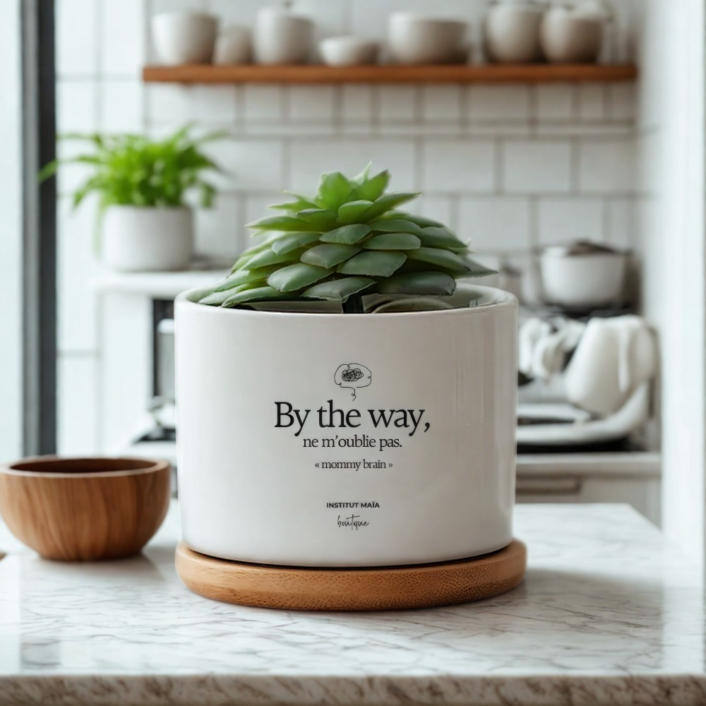 POT DE REMPOTAGE POUR PLANTE MAÏA - Institut MAIA