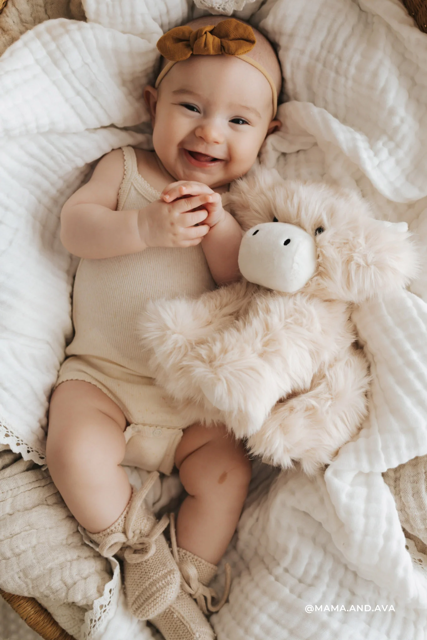 HILDA LA VACHE HIGHLAND - Institut MAIA