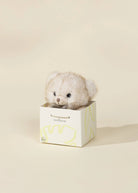 MINI PELUCHE CADEAU - OURS BLANC - Institut MAIA