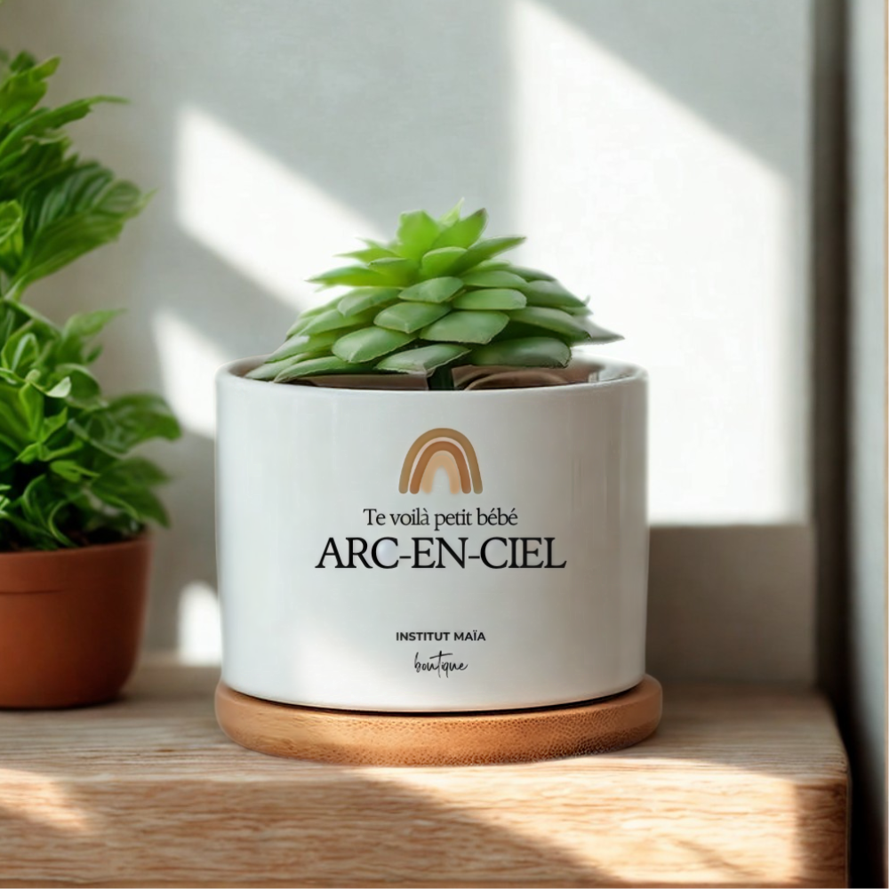 POT DE REMPOTAGE POUR PLANTE MAÏA - Institut MAIA