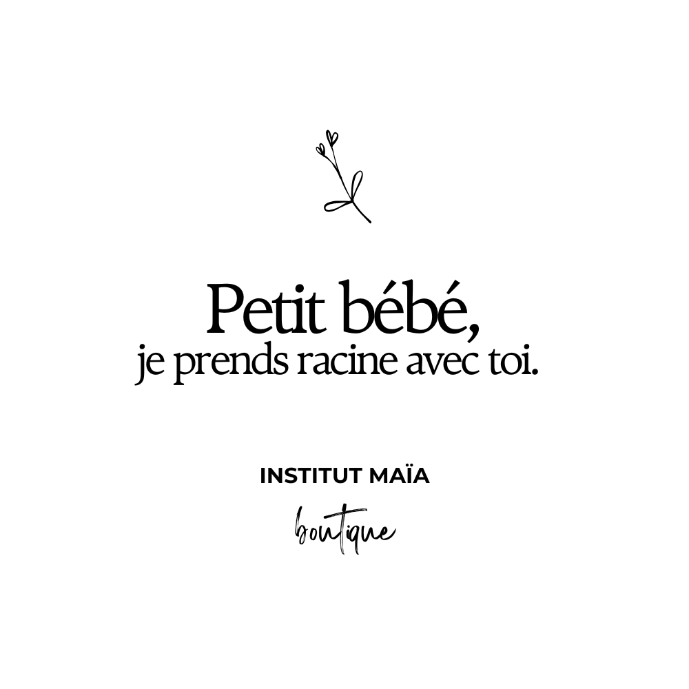 POT DE REMPOTAGE POUR PLANTE MAÏA - Institut MAIA