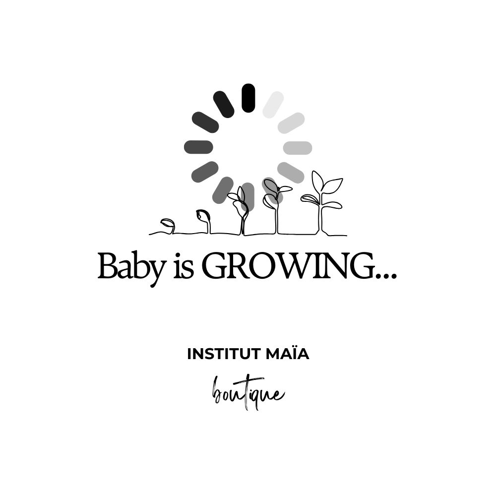 POT DE REMPOTAGE POUR PLANTE MAÏA - Institut MAIA