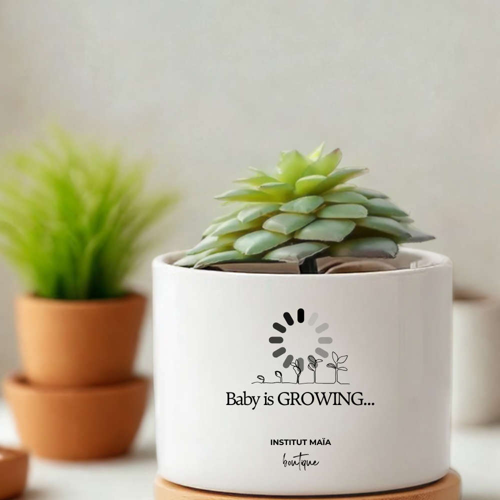 POT DE REMPOTAGE POUR PLANTE MAÏA - Institut MAIA