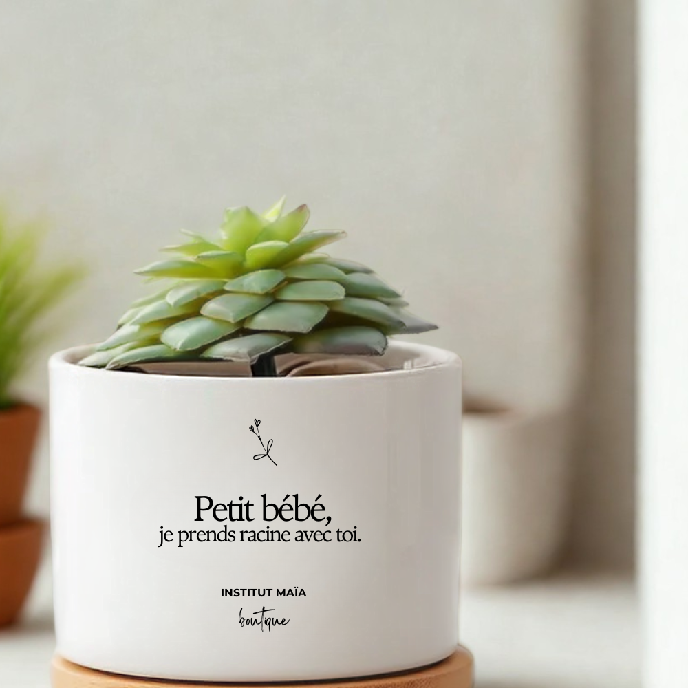 POT DE REMPOTAGE POUR PLANTE MAÏA - Institut MAIA