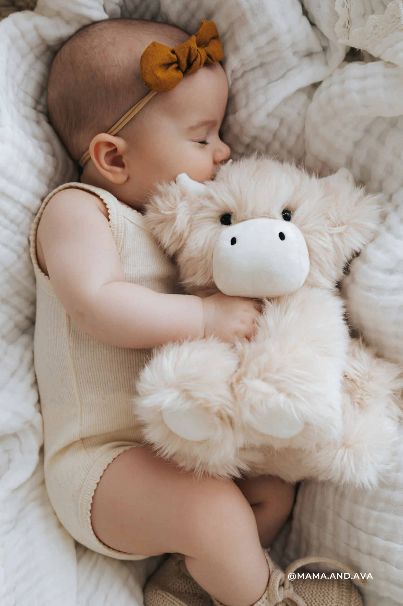 HILDA LA VACHE HIGHLAND - Institut MAIA