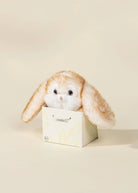 MINI PELUCHE CADEAU - LAPIN BRUN - Institut MAIA
