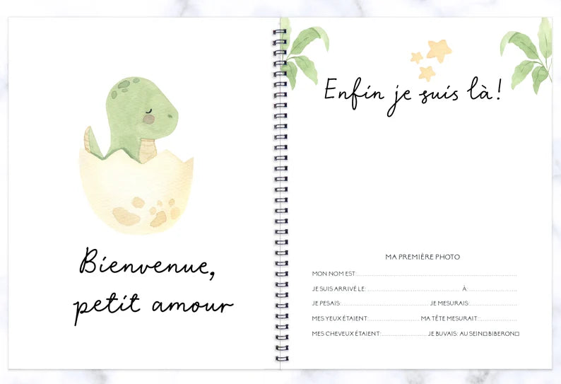 COMBO GROSSESSE - PETITS DINOSAURES - Institut MAIA