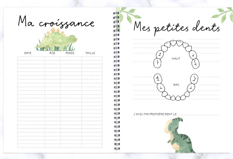 COMBO GROSSESSE - PETITS DINOSAURES - Institut MAIA