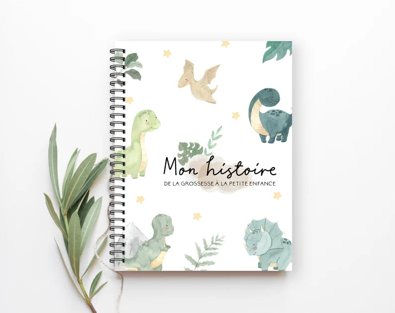 COMBO GROSSESSE - PETITS DINOSAURES - Institut MAIA