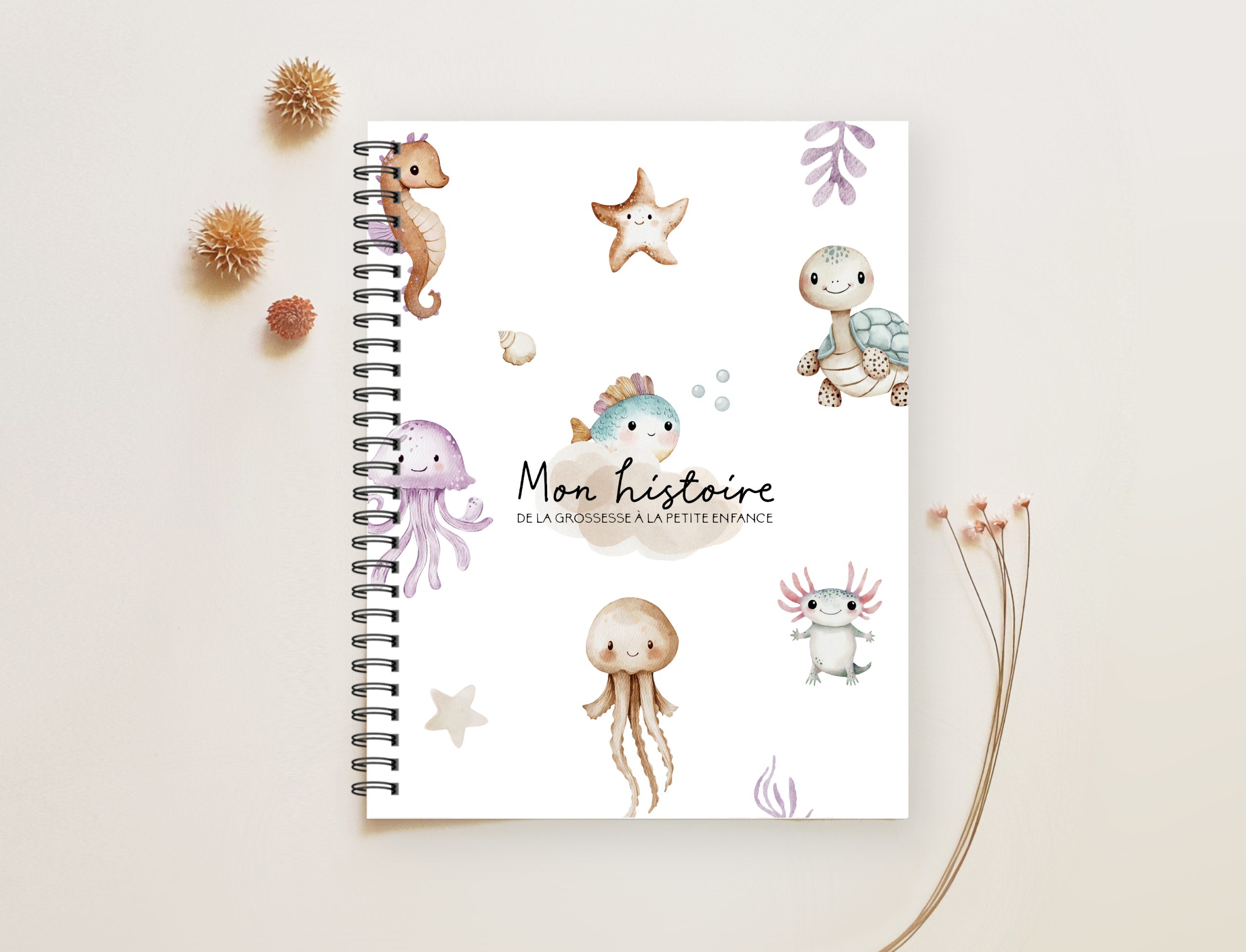 COMBO GROSSESSE - AVENTURE EN MER - Institut MAIA