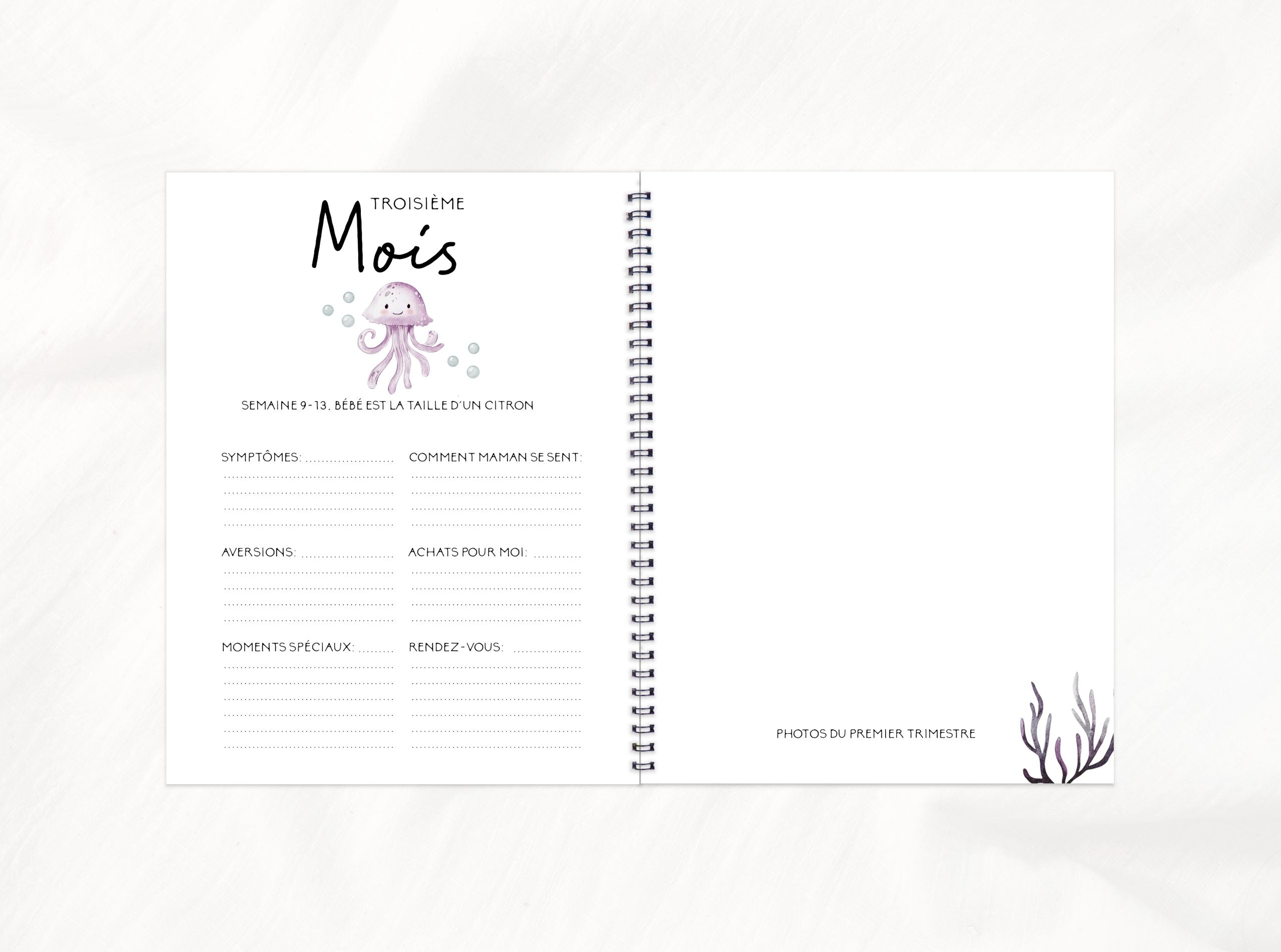 COMBO GROSSESSE - AVENTURE EN MER - Institut MAIA