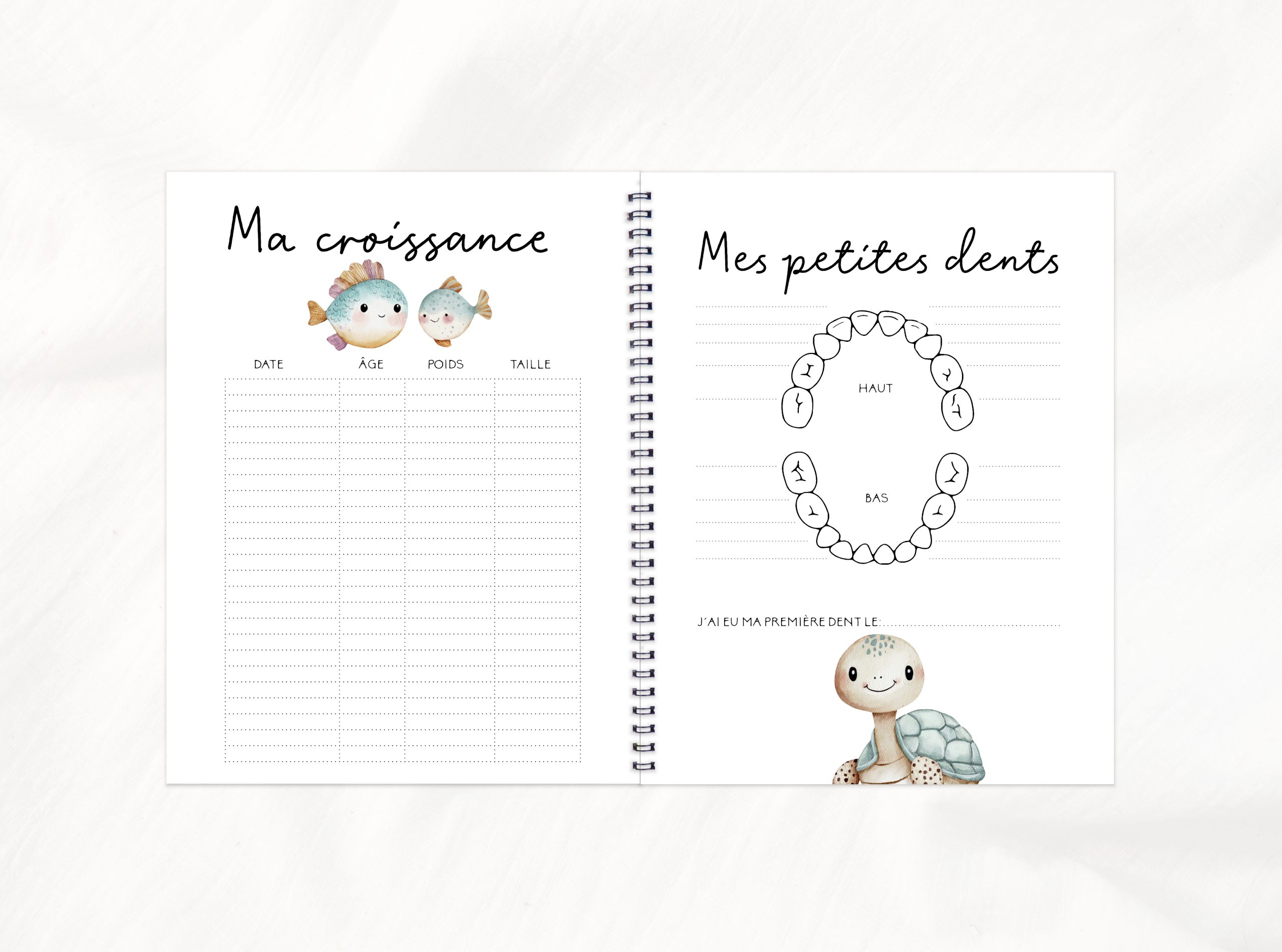 COMBO GROSSESSE - AVENTURE EN MER - Institut MAIA