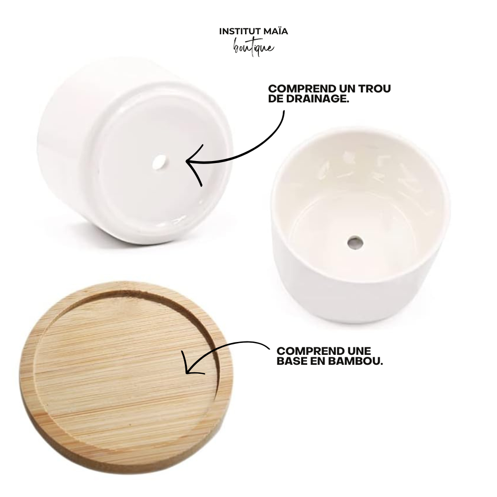 POT DE REMPOTAGE POUR PLANTE MAÏA - Institut MAIA