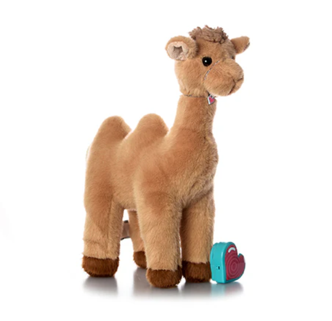 BÉBÉ CHAMEAU - Institut MAIA