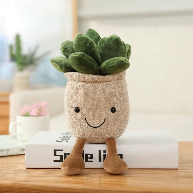 PELUCHE SUCCULENTE - Institut MAIA