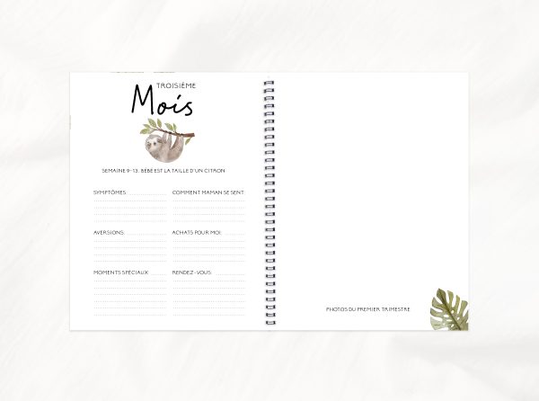 COMBO GROSSESSE - AVENTURE DANS LA JUNGLE - Institut MAIA