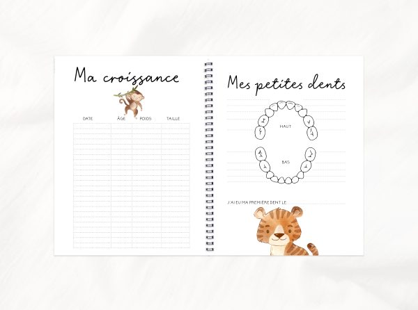 COMBO GROSSESSE - AVENTURE DANS LA JUNGLE - Institut MAIA