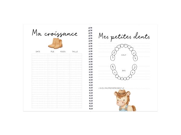 COMBO GROSSESSE - MON PREMIER RODÉO - Institut MAIA