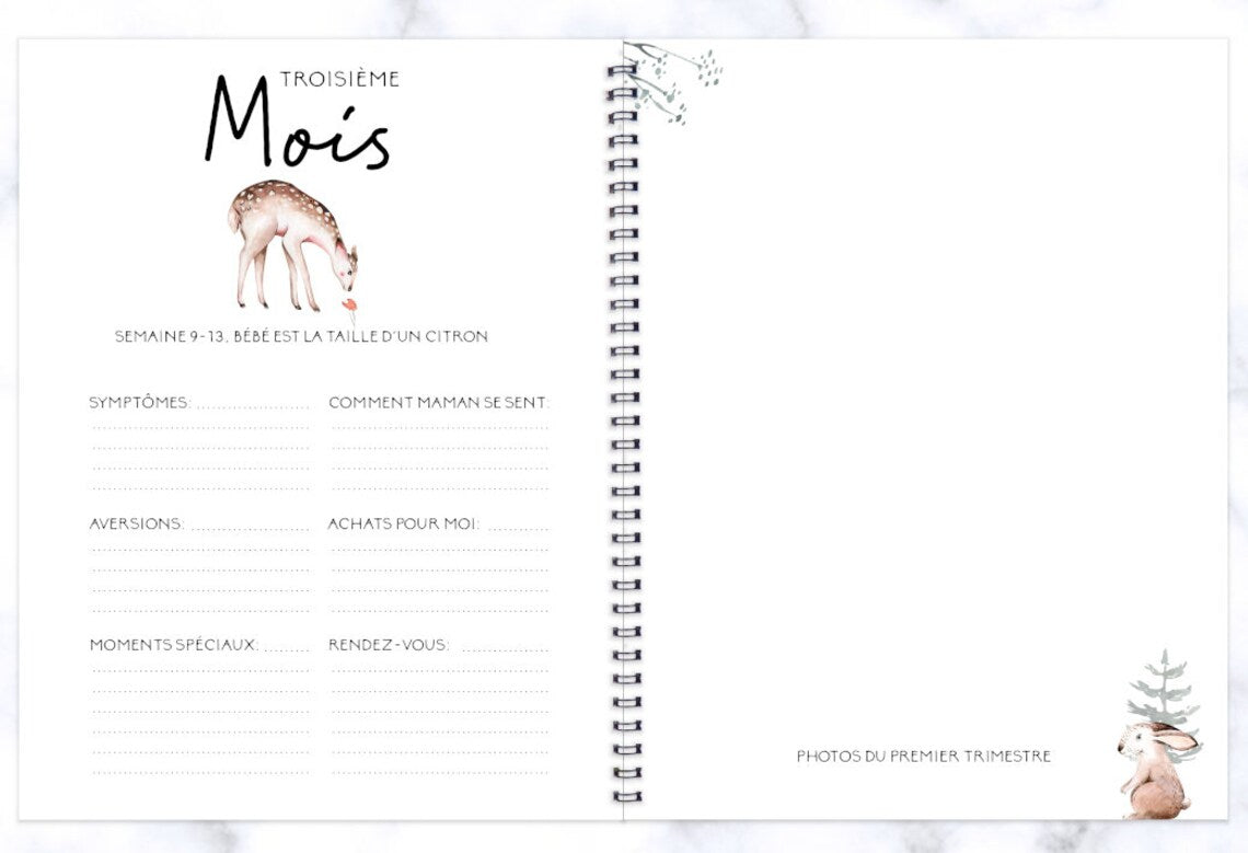 COMBO GROSSESSE - DOUCE FORÊT - Institut MAIA