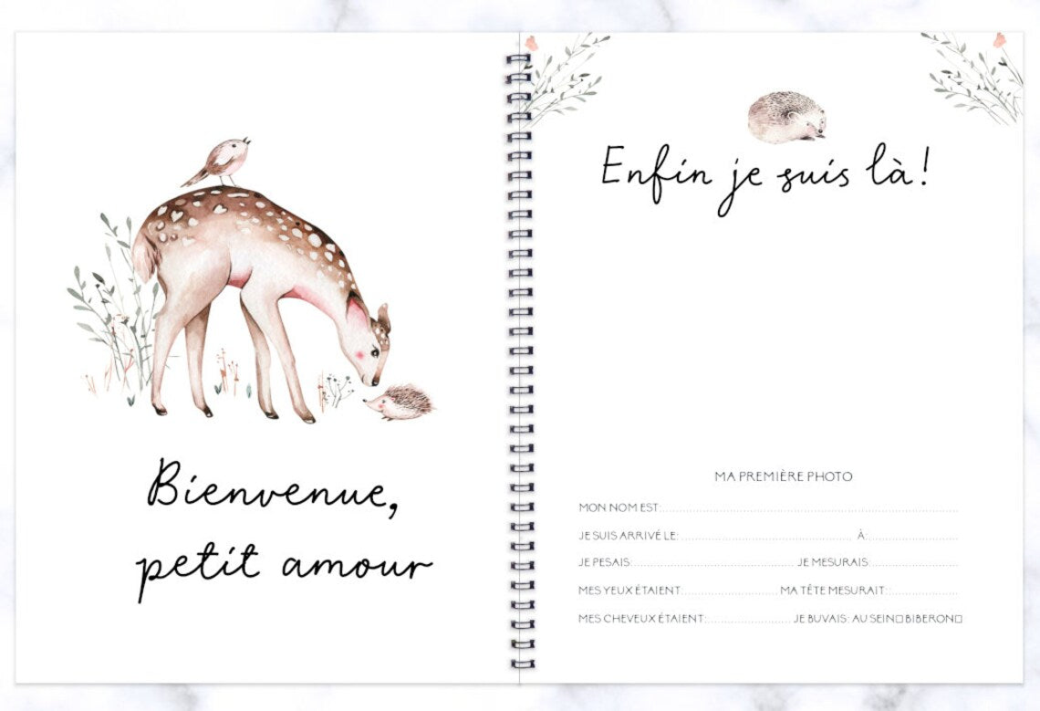 COMBO GROSSESSE - DOUCE FORÊT - Institut MAIA