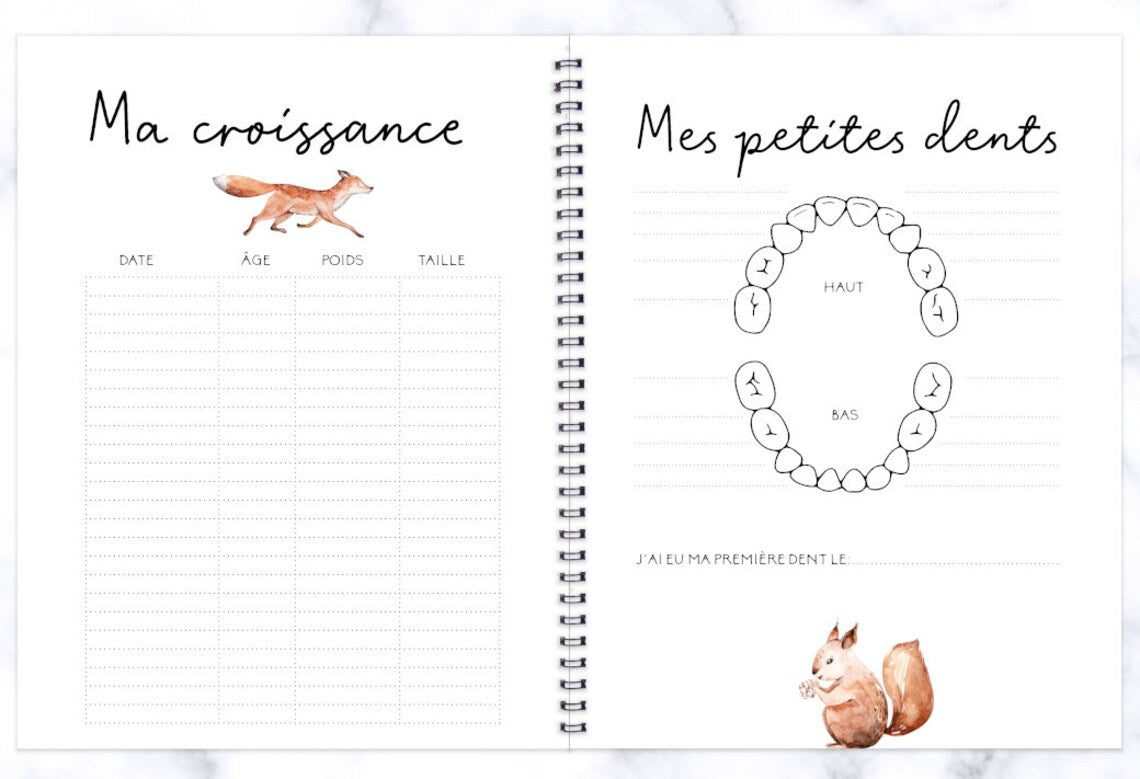 COMBO GROSSESSE - DOUCE FORÊT - Institut MAIA