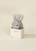 MINI PELUCHE CADEAU - LAPIN GRIS - Institut MAIA